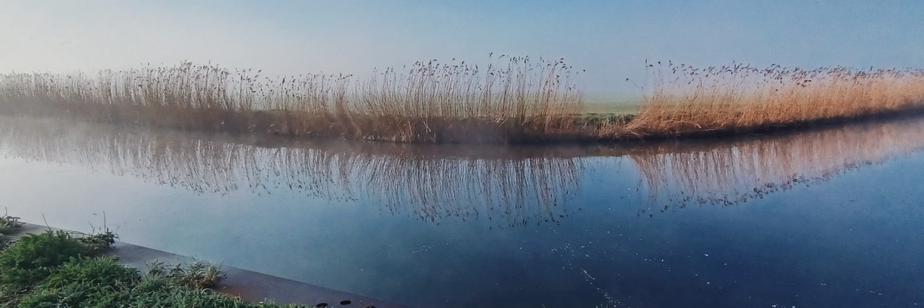 Cattenbroek