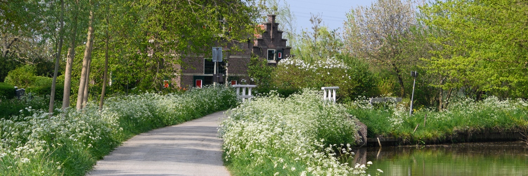Linschoterbos